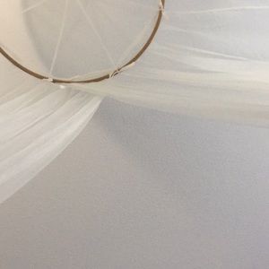 Meet your Posher, Tayler